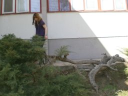 Aкција ,,За лепши поглед на живот“